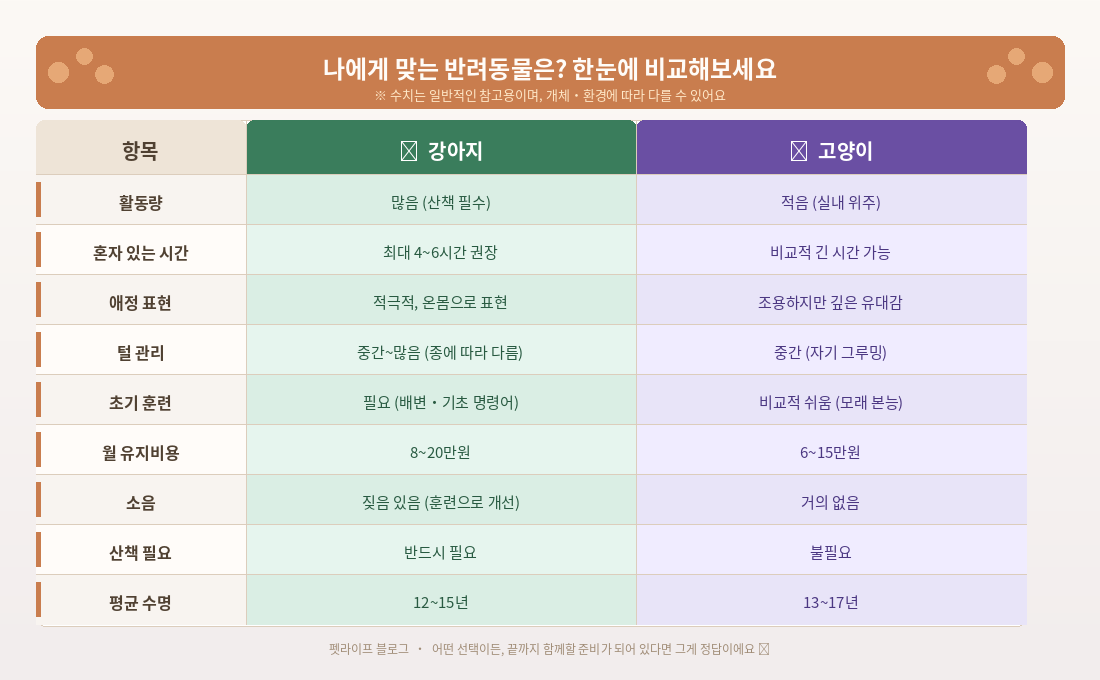 강아지 고양이 훈련 비교 이미지
