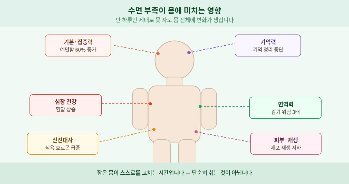 수면 부족이 몸에 미치는 영향 이미지