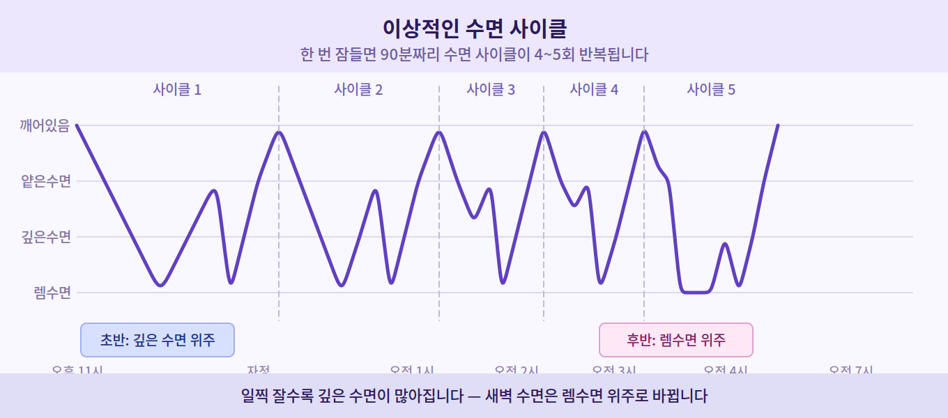 수면 시간과 수면 사이클 이미지